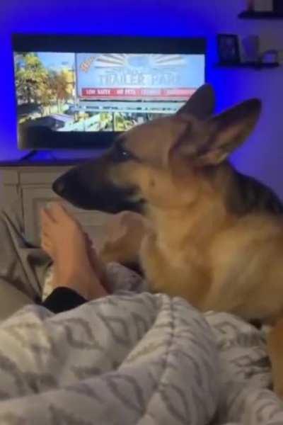 Dog no longer has a thing for feet.