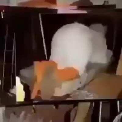 Genuine ohell moment