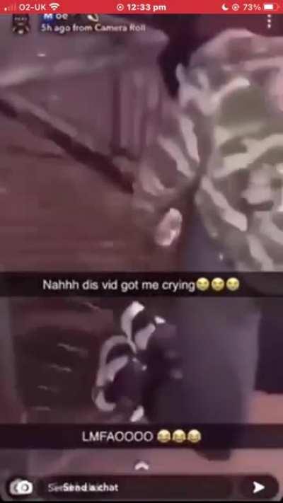 rat in gta rp vs real life