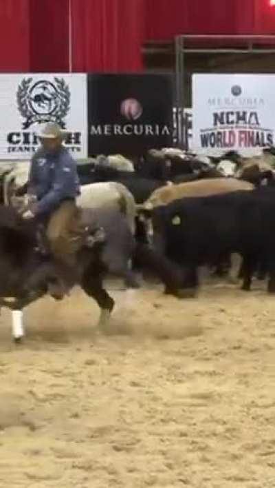 This absolute unit of a cutting horse bulldoggin these puppies