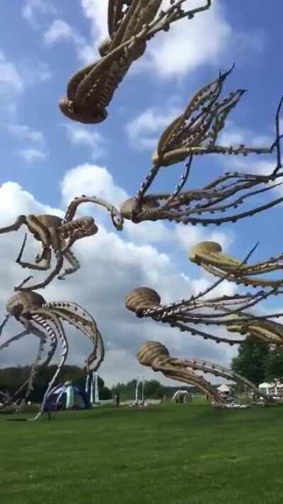 These octopus kites are absolutely incredible