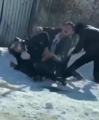 Quick way to stop a fight