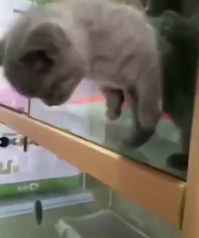 Escaping maximum security