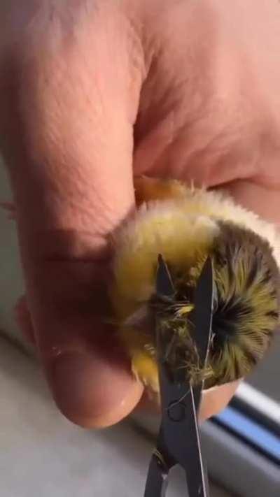 Hold up ....ð¤¯