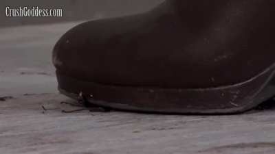 I love Marina 7・She has a beautiful and powerful body.
Today she enjoys stomping bugs in sexy jeans and boots.