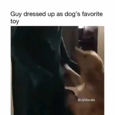 This video is everything ❣