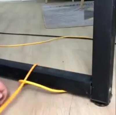 Topology demonstration