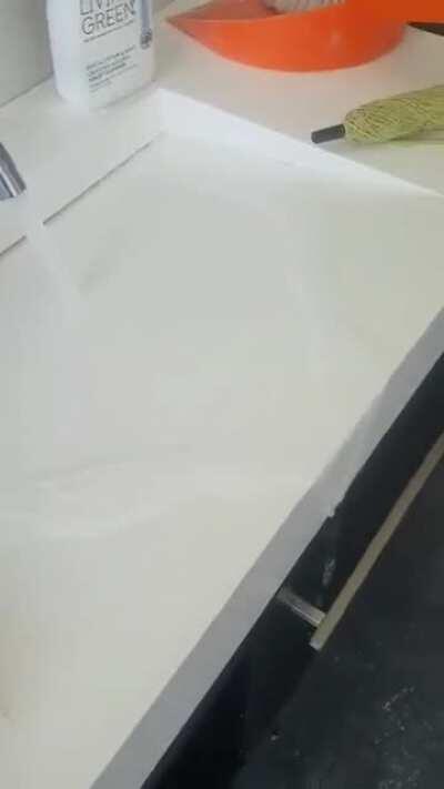 Installed this bad boy today