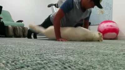 Push-ups are bad for you apparently