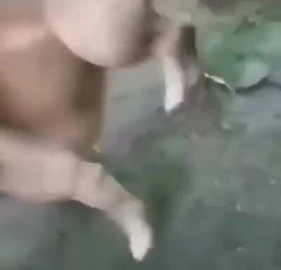 La naturaleza es sabia... los mods son antinaturales