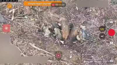 Destruction of Russian assault column of unarmored civilian vehicles on the Pokrovsk front (Published on 22 December, 2024)