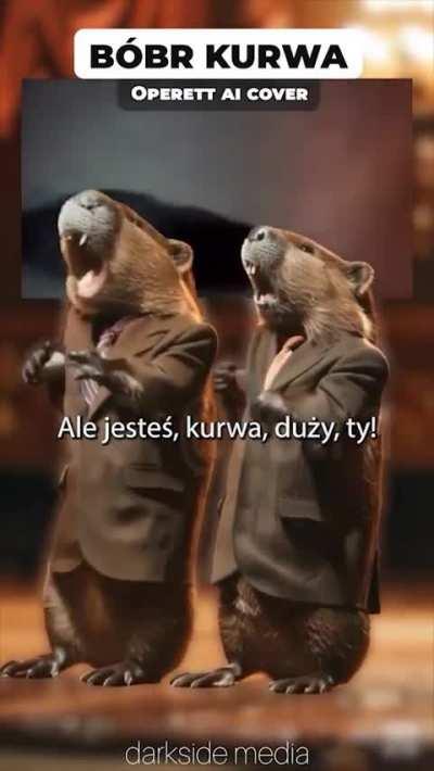 Is this the new Polish anthem?