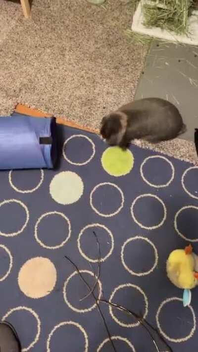 I legit get this excited for breakfast too!