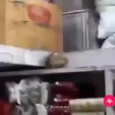 Momento URIEL🐀💎