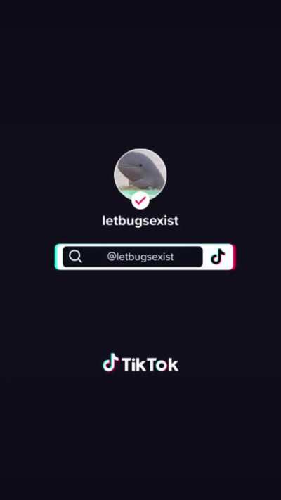 Ethereallovebug tiktok