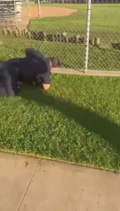 LAPD Senior Officer  Chokes 14 Year Old