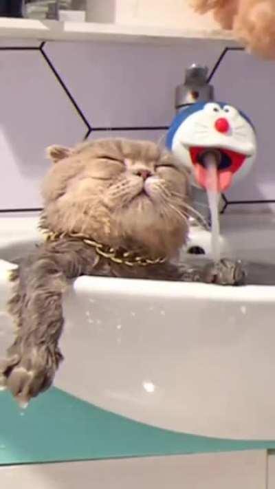 Just watch the video and relax.