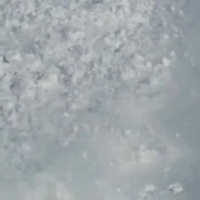 A fearless hare crossing a deadly avalanche in Kamchatka