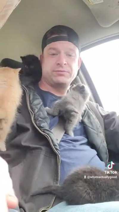 MaN bEiNg CoNVerTed InTo A LiVinG KitTeN SuiT.