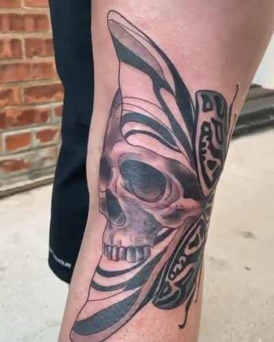 Do you scare the bugs?