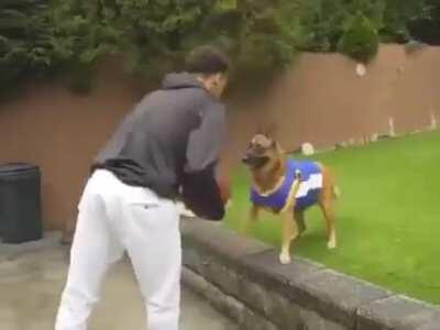 Dog with the assist for the dunk. (k9_jester)