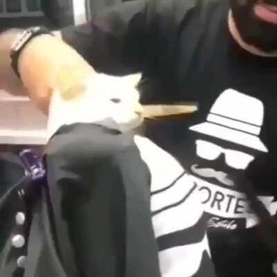 Meu primeiro galeria