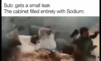 Sodium moment
