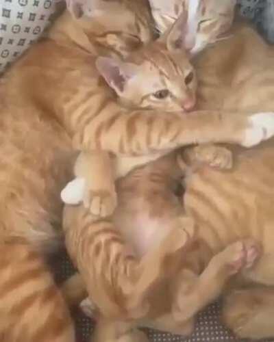 What a beautiful family 😘