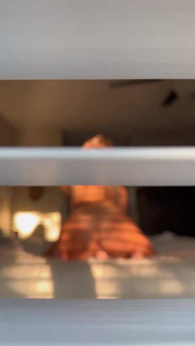 POV: You’re my next door neighbor and you just looked into my bedroom window… 