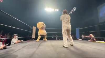 a mascot f*cking dies in the ring