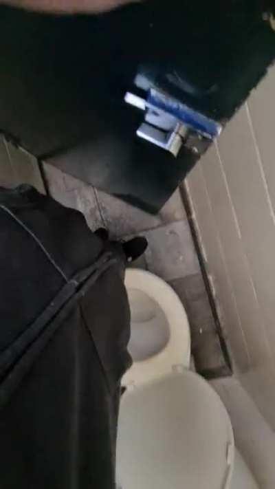 This spacious toilet cubical.