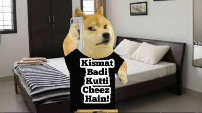 Doge kbc 🤣🤣