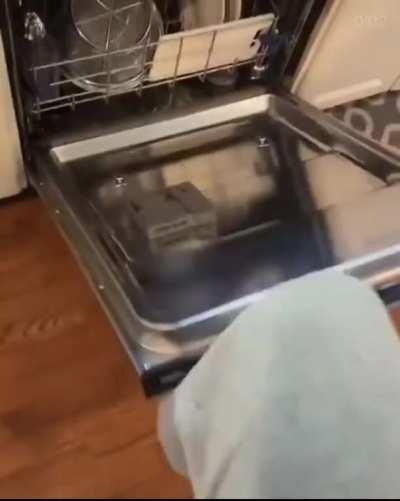 MemeVideos - Video #8934