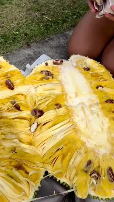 How to eat a massive jackfruit