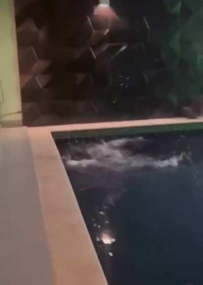 Olympic dive right there