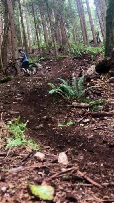 This is actually crazy.