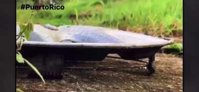 🎵 P Á K I T I 🎶