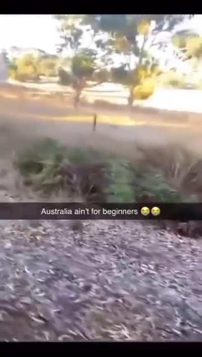 Bro's going to jurassic park🤣