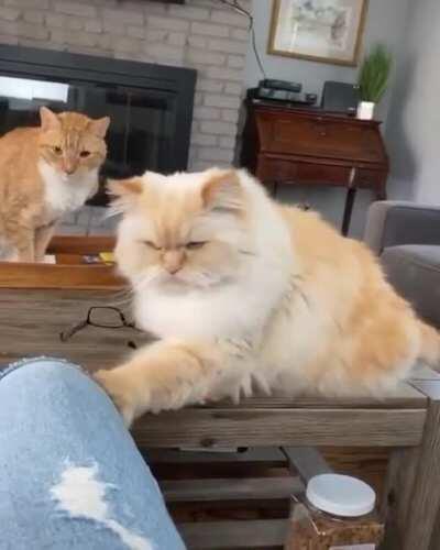 Give this king his snacks