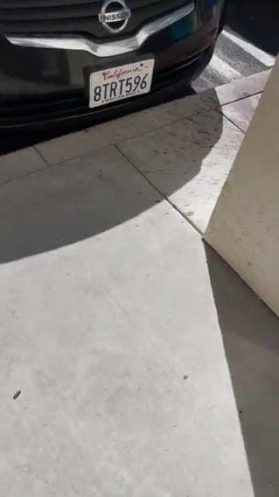 In front of a CVS in Los Angeles