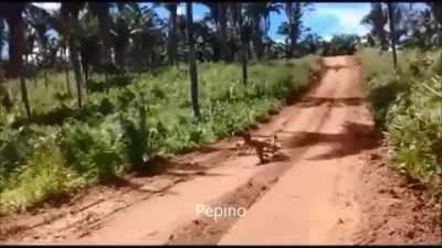 Esse vai pro estatutos😎😎😎😎😎😎😎👌