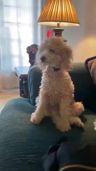 He's very happy to see you