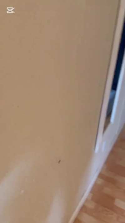 It's truly terrifying when fantasies become reality. And mom becomes bully's property.