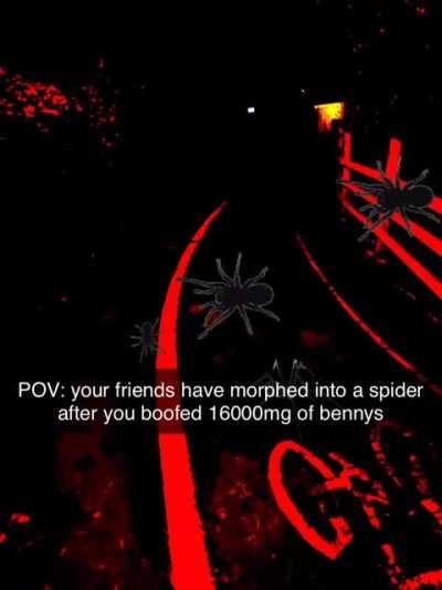 POV: your friends turned into spiders after you boofed 16000mg of dph