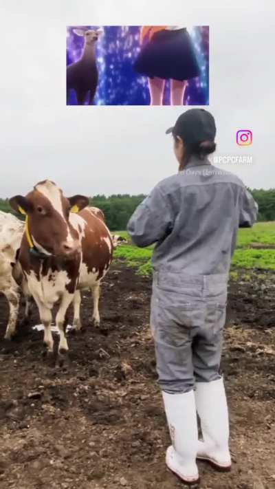 ¿Para esto es que quieres ir al Japón rural?? 