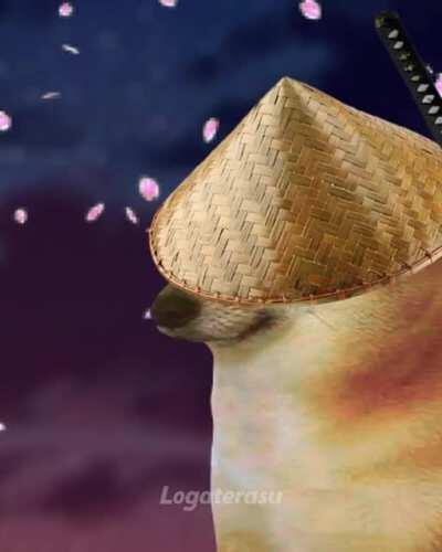 Silence, belle [credits in the comments]