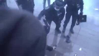 Police beating jurnalist during today protests in paris, over new law about free media.