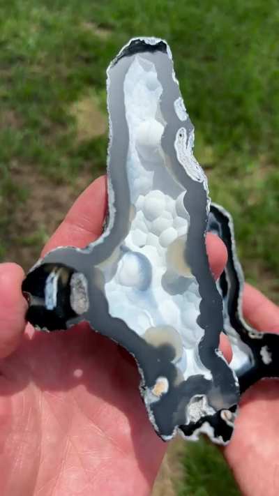 My newest find—Agatized Coral Finger