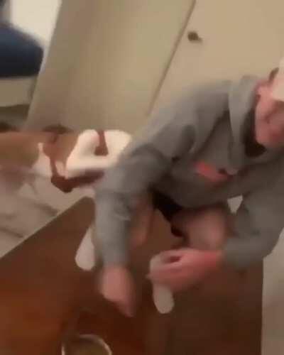 Lute contra o seu dono para preservar a sua comida