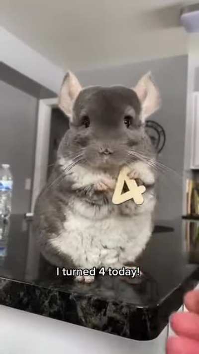 Why are you so cute????